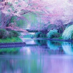 Meet your Posher, Gail